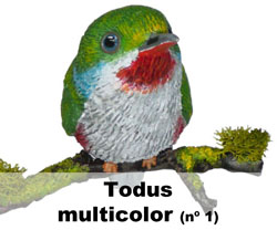 Boton Todus multicolor nº1