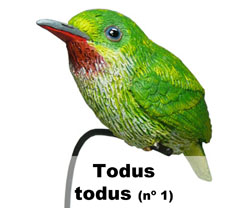 Boton Todus todus nº1