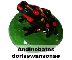 Boton Andinobates dorisswansonae
